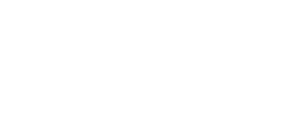 Vinaswift logo white